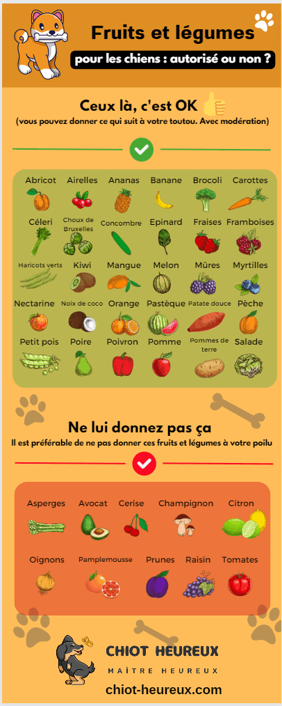 fruits et legumes pour chiens, toxiques ou non ?